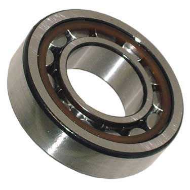 Rear Axle Bearing - Outer IRS