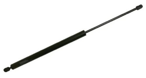 Hatch Strut Eurovan W/Rear