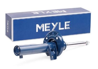 Meyle Shock Tiguan 1 Front