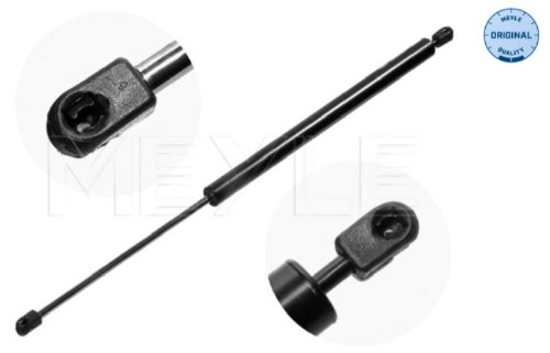 Hatch Strut Eurovan W/Rear