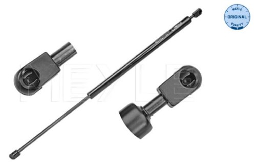 Hatch Strut Eurovan W/O Rear