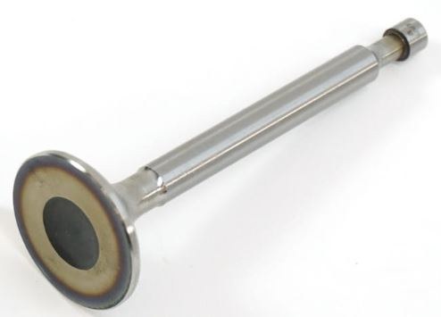 Engine Intake Valve 54605203