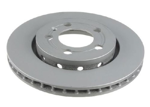 Brake Rotor Rear 256mm 5/100