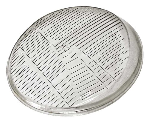 Headlight Lens T1 50-66