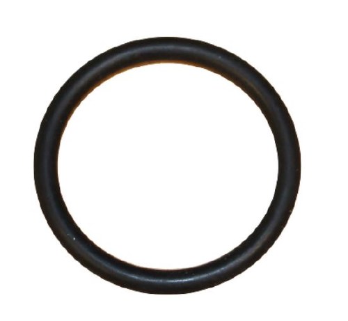Coolant Flange O-Ring Eurovan