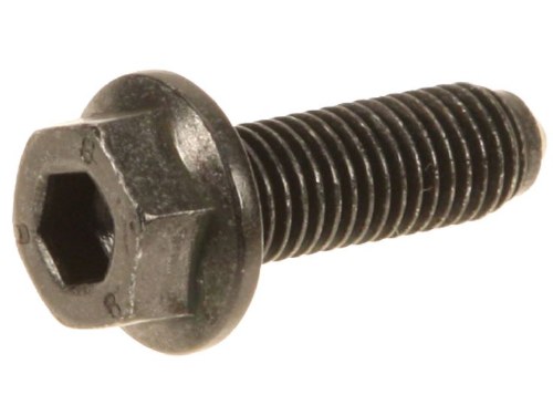 Water Pump / Rear Main Bolt