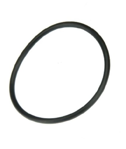 DSG Filter Seal