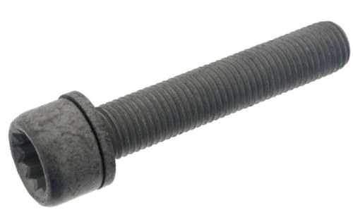 Caliper Bolt