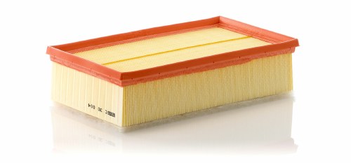 Mann Air Filter C30004