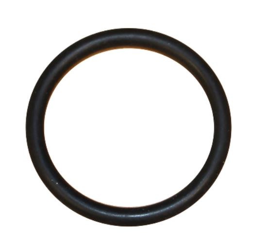 Coolant Flange O-Ring Eurovan - Concept-1