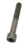 Caliper Bolt 55mm