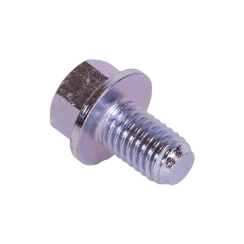 Door Hinge Bolt - Each