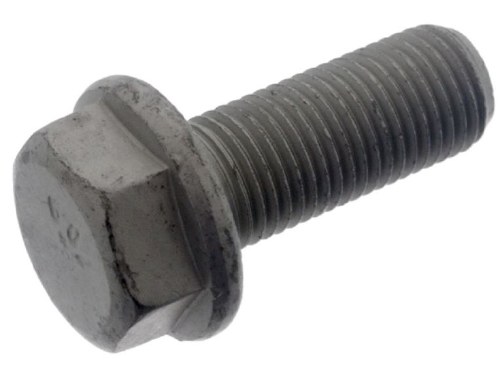 Caliper Carrier Bolt