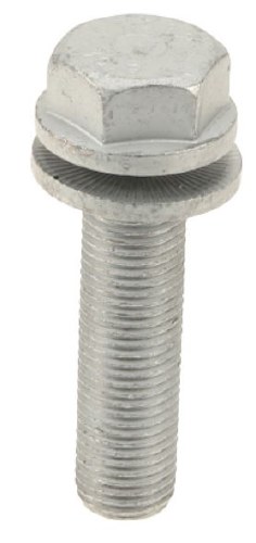 Caliper Bolt