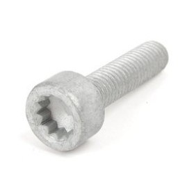 High Pressure Fuel Pump Bolt