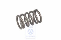 Valve Spring Van 8391