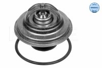 Thermostat - Vanagon 87 deg.