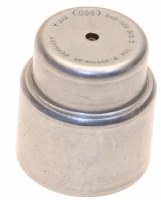 Pilot Bearing DSG