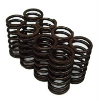 Valve Springs - Inner Set of 8