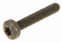 Cylinder Head Cover Screw