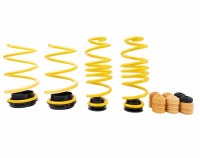 ST Adjustable Springs MK7