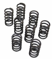 Valve Springs High-Rev Set