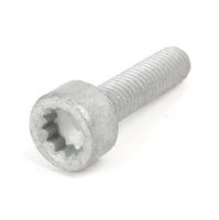 High Pressure Fuel Pump Bolt