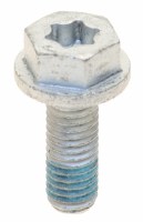 Brake Caliper Bolt