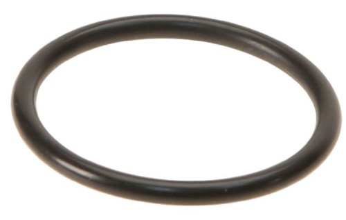 Water Flange O-Ring