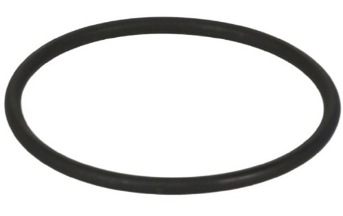 Camshaft Adj Magnet Seal