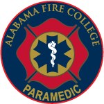 Paramedic Lapel Pin 3/4"