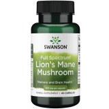 Lions Mane Mushroom 500mg