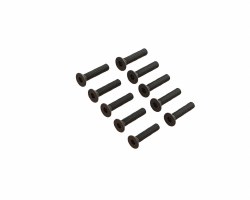 Flat Head Screw M2x10mm (10pcs)