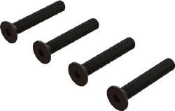 Flat Head Hex Machine Screw M4x24mm (4)