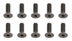 4x12mm FHC Screws (10)