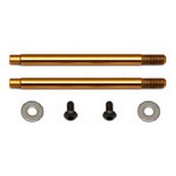 3x21mm V2 Ti-Nitride Screw Mount Buggy Front Shock Shaft (2)