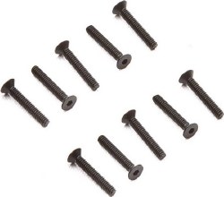 M2 x 12mm Flat Head Screw (10)