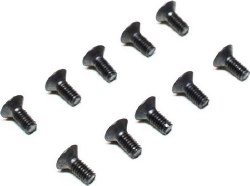 M2.5 x 6mm Flat Head Screw (10)