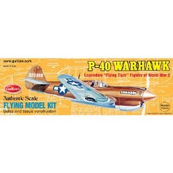 1/30 P-40 Warhawk Laser Cut Model Kit