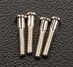 Pan Head Screw 2x10mm MX400 Pro (4)