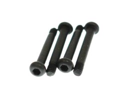 Step Screws M3x20mm (Hex Socket/4pcs)