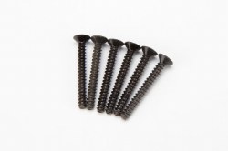 TP Flat Head Screws, M3X25mm (6pcs)