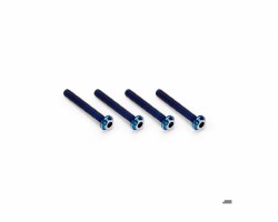 x22mm Top Hat Titanium screw, burnt blue - 4pc