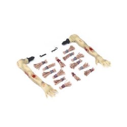 "Losi Hair & Arms, Zombie: Mini LMT"