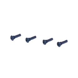 Flywheel Pins w/Screws: XXX-NT