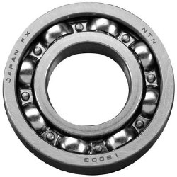 29030001 Rear Bearing 61-300