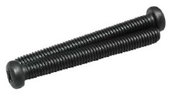 21125409 Muffler Screws 10FP/FSR (2)