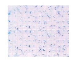 Plastruct PS-42 Square Tiles,3/16 (2)