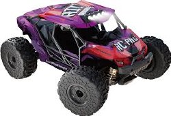 1/18 RTR RIZZ BRUSHLESS Upgraded Side-by-side Buggy With Oil shocks