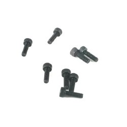 Crankcase Screw Set: RR, SS